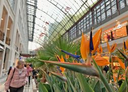 Fruehling In Der Goethe Galerie Jena 000013